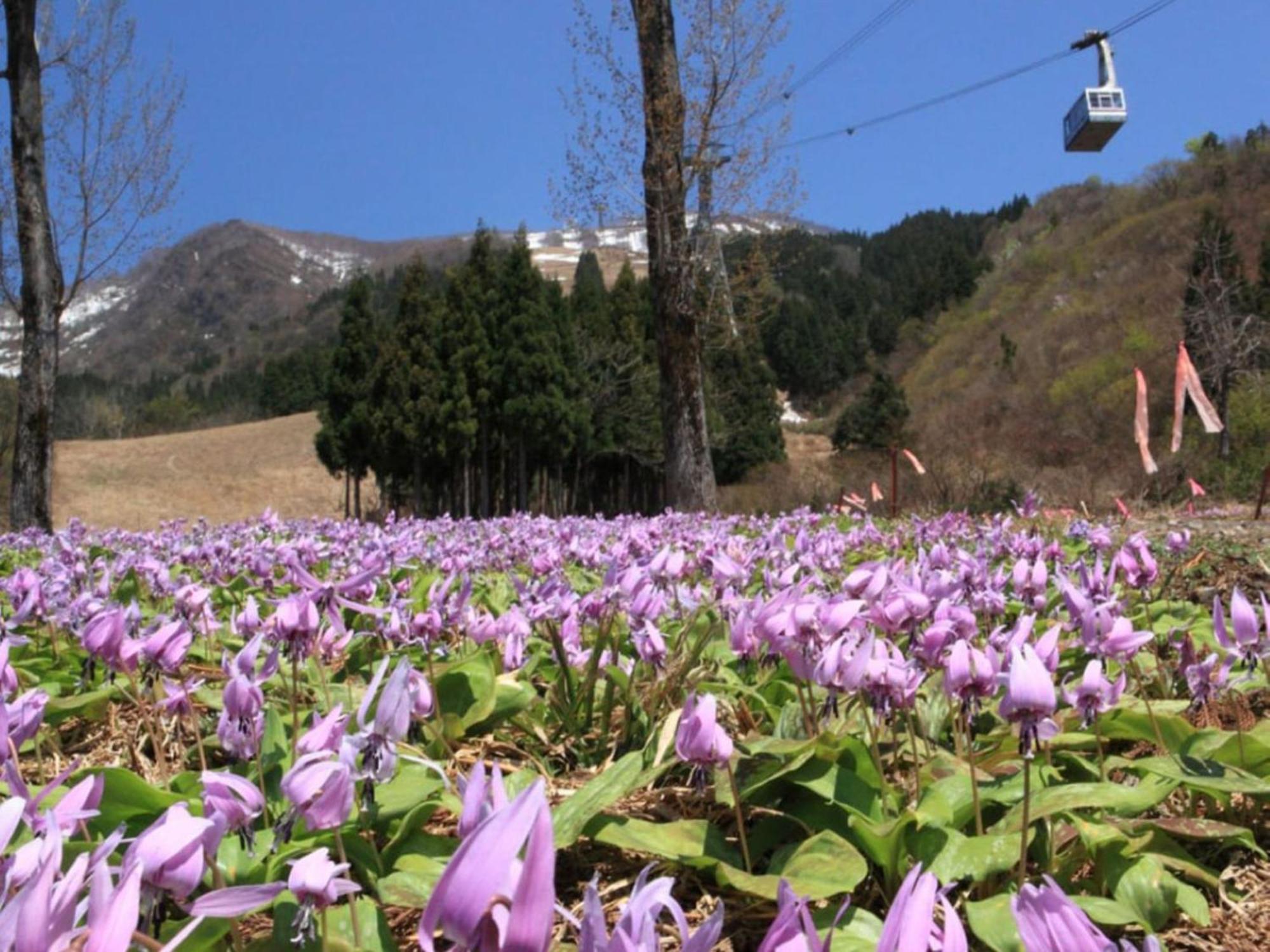 Pension Come Healing Tatami-Room- Vacation Stay 14980 Minamiuonuma Exteriér fotografie